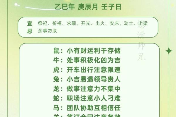麦玲玲2013年十二生肖运程完整版，查看事业健康指南