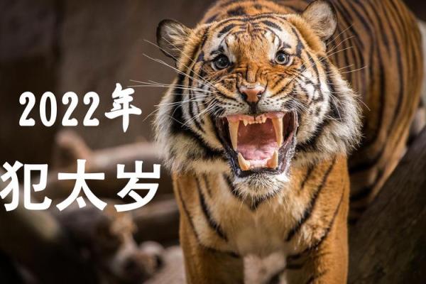 2022年犯太岁的生肖具体得把眼睛擦亮了,事业财运健康方面该如何防范? 2022年犯太岁的生肖具体得把眼睛擦亮了,事业财运健康方面该如何防范?
