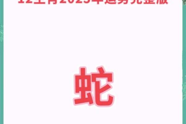 属蛇人在蛇年2025的运势