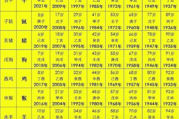 2022年出生的人属什么生肖？完整生肖年份对照表