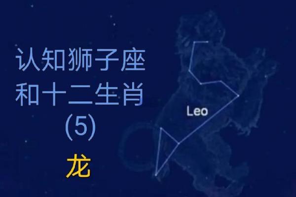 十二星座最适合的龙坐骑推荐，根据星座性格匹配霸气神兽