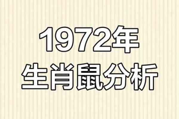 2022年出生的人属什么生肖，五行命运如何精准测算