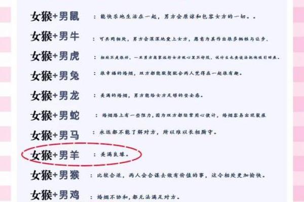 属鼠的人与哪些属相结婚最合适且幸福长久？