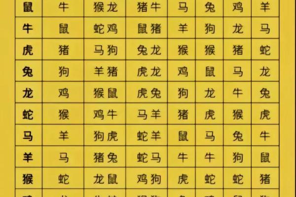 正宗版2024生肖卡表收藏价值分析与全套图鉴展示