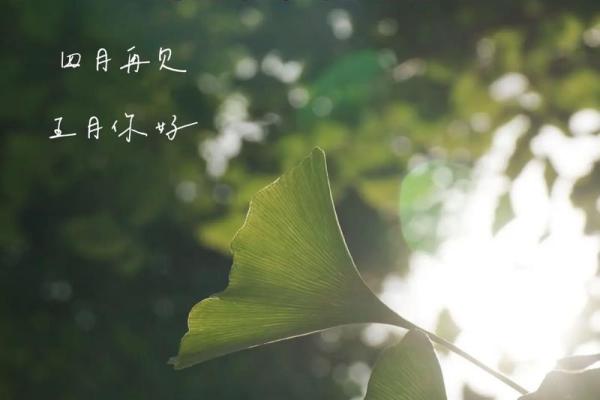2025年10月适合安葬的好日子有哪些?需要注意哪些风水禁忌? 2025年10月适合安葬的好日子有哪些?需要注意哪些风水禁忌?