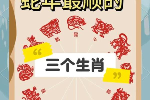 属蛇今年财运,运气如何