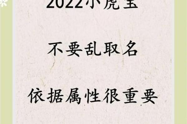 2022年出生生肖属虎的宝宝命运如何解析？