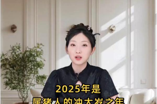 2013年属猪人全年运势详解及每月运程分析