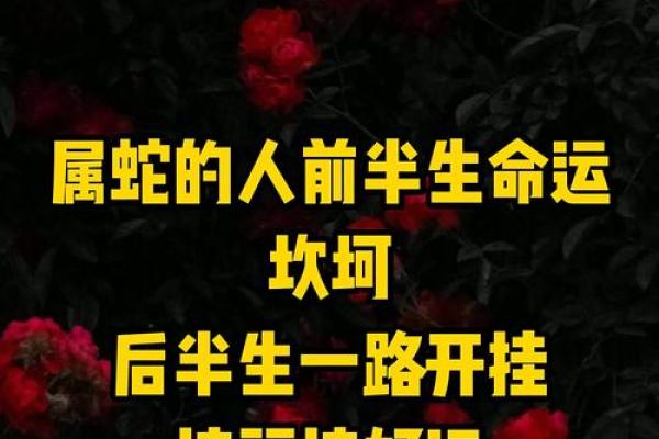 属蛇十月出生的人命运怎么样
