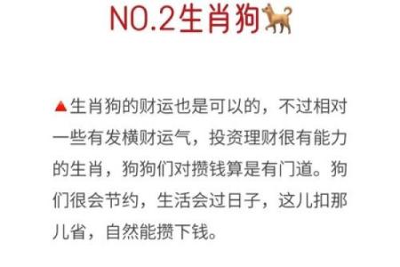 2020年财运事业双丰收的三大生肖，有没有你的属相？
