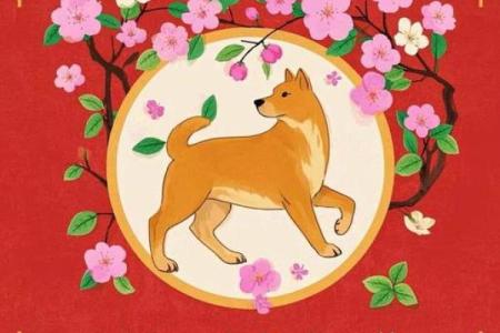 属狗的人2015年整体运势如何，事业和财运方面会有哪些机遇与挑战？