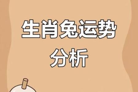 属兔人2018年全年运势详解及每月运程完整版分析