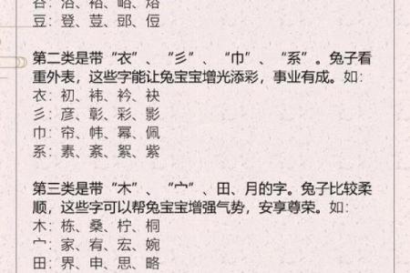 2023年农历癸卯兔年出生的人命运与性格解析