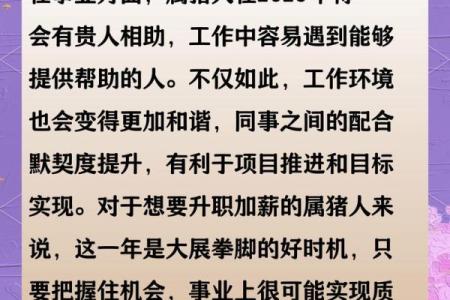 属猪的人2013年运程如何，事业财运健康感情全面解析