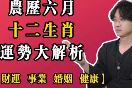 李居明2013年生肖运程详解：属马人今年事业财运健康爱情全面解析