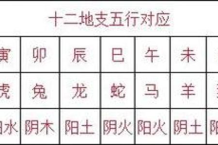 属龙的人2024年如何正确躲春，有什么禁忌和得把眼睛擦亮了？