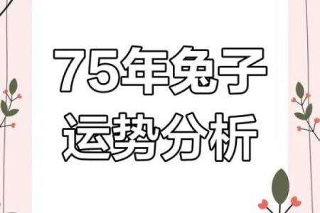 1975年属兔的人2013年每月运势及运程详解