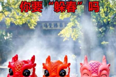 2024年龙年哪些生肖需要特别注意躲春的具体时间和方法