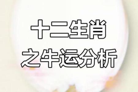 2021年牛年12生肖运势详解，看看你的属相今年财运健康如何