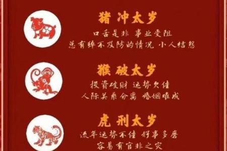 2019年属猪人的健康运势和感情婚姻运程详解，如何化解太岁影响？