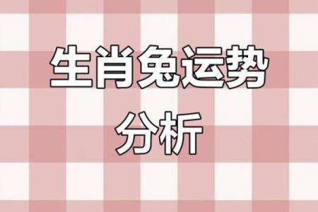 2022年属兔人的财运和事业运如何破解太岁影响的方法