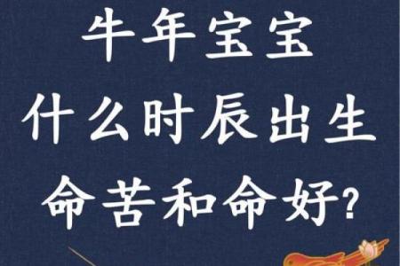 属牛的人哪个月份出生最命苦？详细解析命运走势