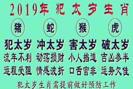 2015年属狗人的健康运势需要注意哪些方面，如何化解太岁带来的不利影响？