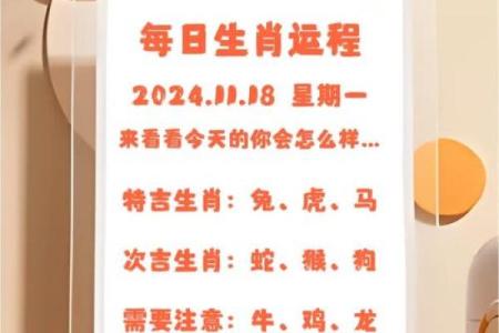 麦玲玲2013年十二生肖运程完整版，查看事业健康指南