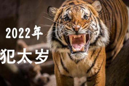 2022年犯太岁的生肖具体得把眼睛擦亮了，事业财运健康方面该如何防范？