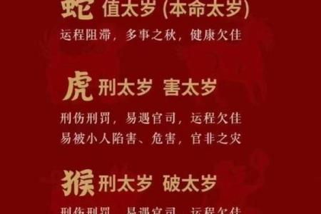 2013年蛇年本命年运势详解及如何化解太岁方法指南