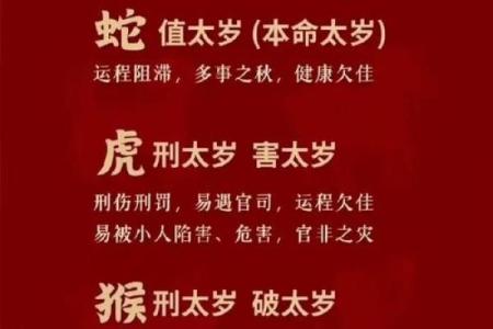 2011年属兔本命年犯太岁如何破解及运势详解？