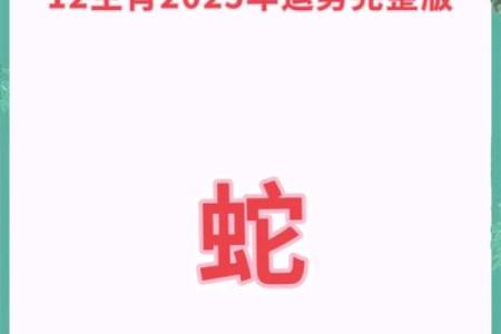 属蛇人在蛇年2025的运势