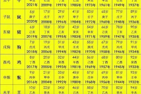 2022年出生的人属什么生肖？完整生肖年份对照表