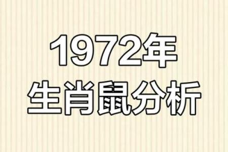 2022年出生的人属什么生肖，五行命运如何精准测算
