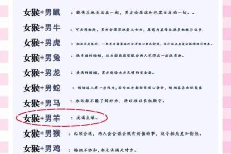 属鼠的人与哪些属相结婚最合适且幸福长久？
