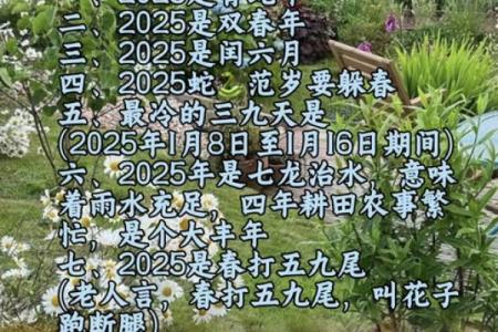 2025年属蛇人躲不掉的事