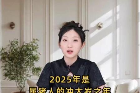 2013年属猪人全年运势详解及每月运程分析