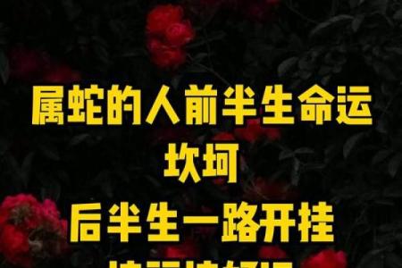 属蛇十月出生的人命运怎么样
