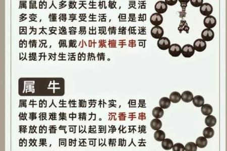 从生肖配对角度分析属蛇人最应该选择的三个理想配偶