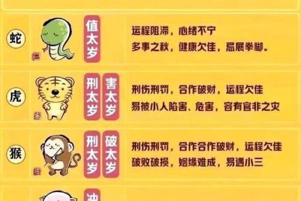 2013年蛇年本命年犯太岁需要注意哪些事项和禁忌？