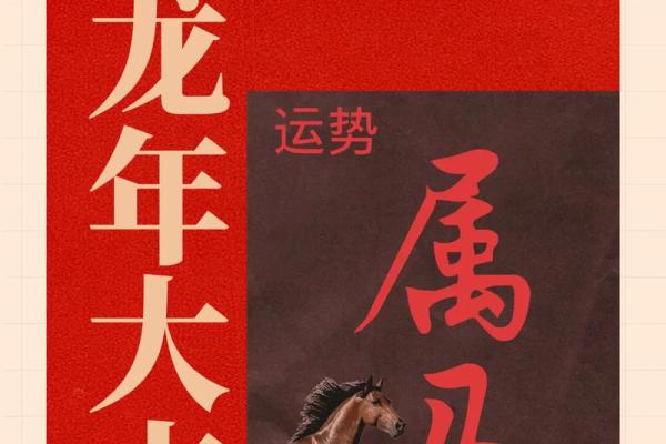属马的人2024年运势如何？事业财运健康详解
