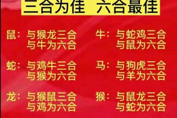 属虎女婚配属相指南：寻找最佳伴侣的属相建议