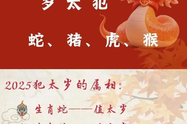 2012年龙年本命年运势如何？需要注意哪些方面才能化解太岁？