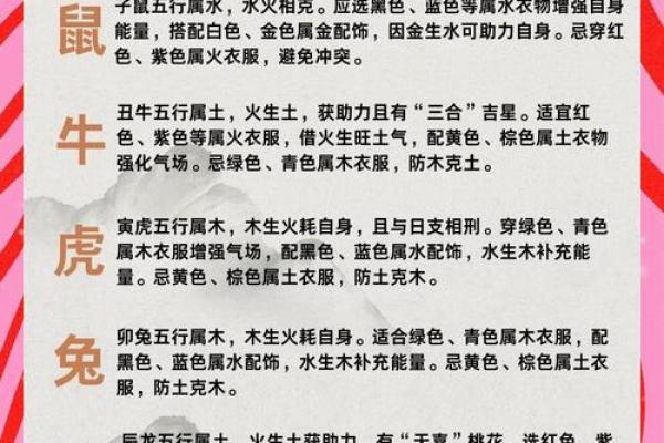 2025年蛇年什么命五行属什么