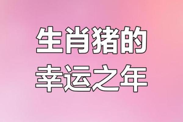 2019年属猪的人财运和事业运如何，需要注意哪些方面才能顺利？