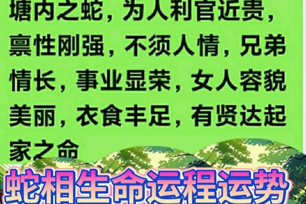 1977年2月15日属蛇还是属龙