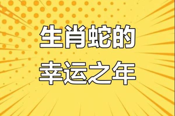 1977年蛇2025年运势