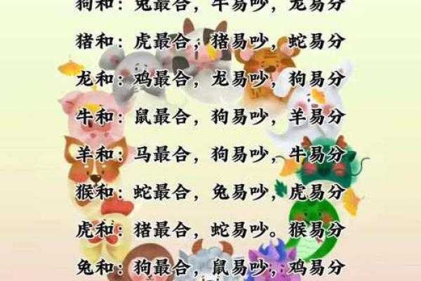 属马人婚姻配对宜忌：哪些生肖最能与马共筑美满姻缘？