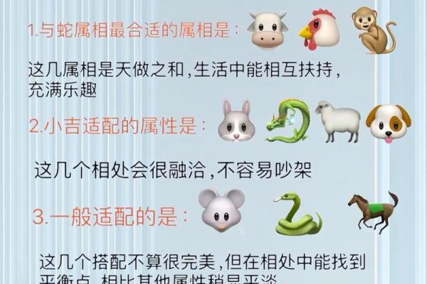父母属相与龙宝宝相克的具体情况有哪些需要特别注意？