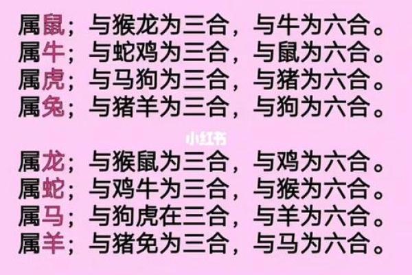属鸡人2023年运势详解全年运程完整版 属鸡人2023年运势详解全年运程完整版